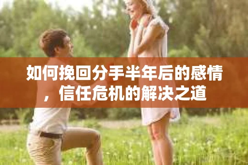 如何挽回分手半年后的感情，信任危机的解决之道