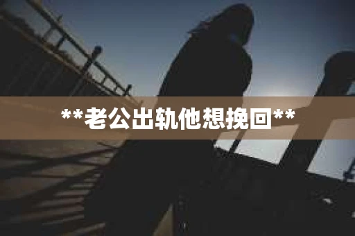 **老公出轨他想挽回**