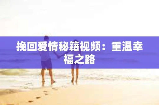 挽回爱情秘籍视频：重温幸福之路