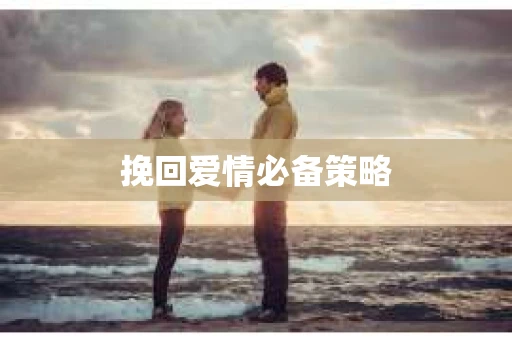 挽回爱情必备策略
