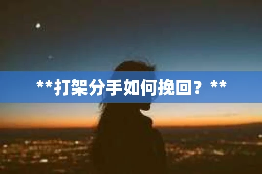 **打架分手如何挽回？**