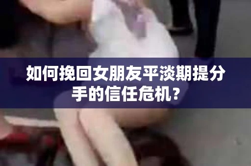 如何挽回女朋友平淡期提分手的信任危机？