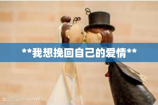 **我想挽回自己的爱情**