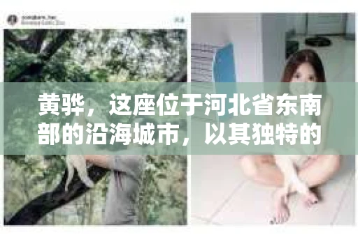黄骅，这座位于河北省东南部的沿海城市，以其独特的地理位置和丰富的历史文化而闻名。然而，在这座城市中，还有一群人，他们以另一种方式默默守护着社会的公平与正义——私家侦探。今天，我们就来聊聊黄骅的私家侦探，看看他们是如何在这个城市中发挥作用的。