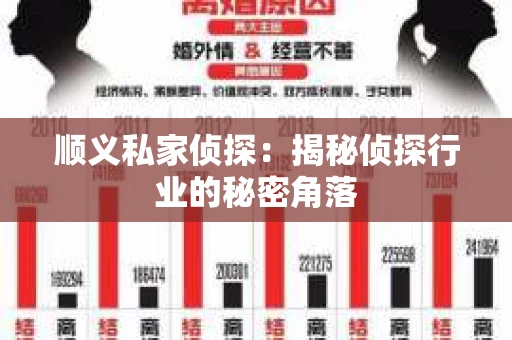 顺义私家侦探：揭秘侦探行业的秘密角落