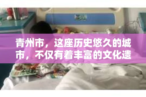 青州市，这座历史悠久的城市，不仅有着丰富的文化遗产，也有着现代生活的便捷。那么，问题来了——青州市有私家侦探公司吗？这个问题，对于需要侦探服务的人来说，无疑至关重要。接下来，我就来为大家揭开这个谜底。