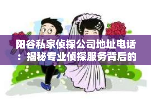 阳谷私家侦探公司地址电话：揭秘专业侦探服务背后的故事