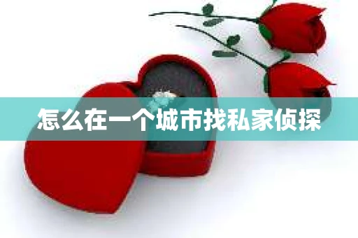 怎么在一个城市找私家侦探