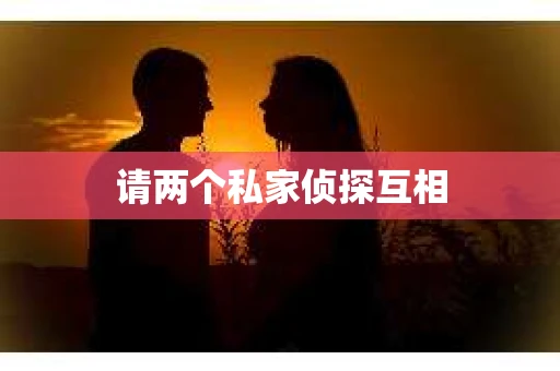 请两个私家侦探互相