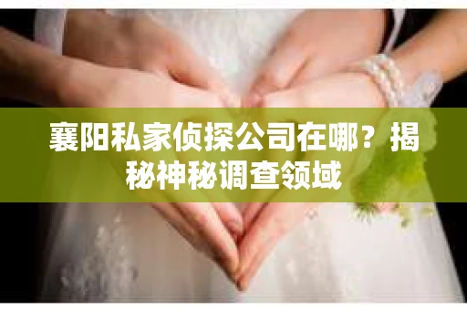 襄阳私家侦探公司在哪？揭秘神秘调查领域