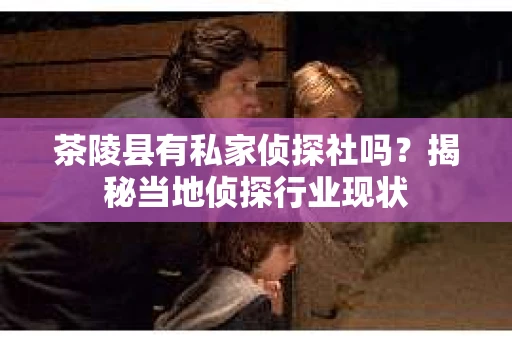 茶陵县有私家侦探社吗？揭秘当地侦探行业现状
