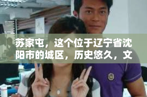苏家屯，这个位于辽宁省沈阳市的城区，历史悠久，文化底蕴深厚。近年来，随着社会的发展，人们对于私家侦探的需求也逐渐增加。那么，苏家屯有私家侦探吗？今天，我们就来聊聊这个话题。
