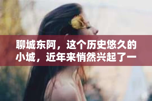 聊城东阿，这个历史悠久的小城，近年来悄然兴起了一股新的服务潮流——私家侦探。今天，我们就来聊聊这个话题，看看在聊城东阿，私家侦探是如何成为人们生活中的一部分的。