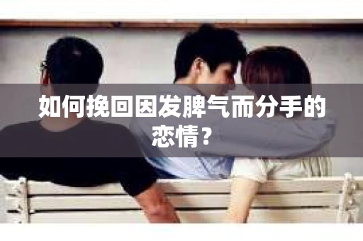 如何挽回因发脾气而分手的恋情? 如何挽回因发脾气而分手的恋情?