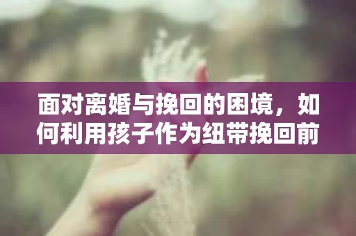面对离婚与挽回的困境，如何利用孩子作为纽带挽回前夫的技巧？