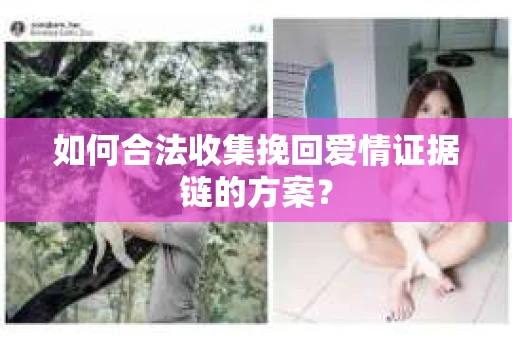 如何合法收集挽回爱情证据链的方案？