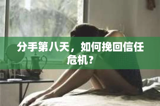 分手第八天，如何挽回信任危机？